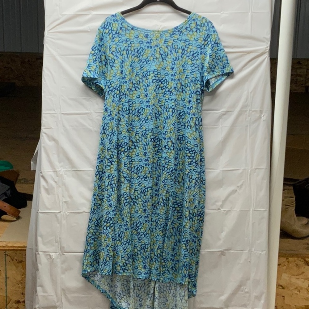 LulaRoe Carly dress